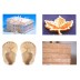 CO2 Laser Cutting Bed